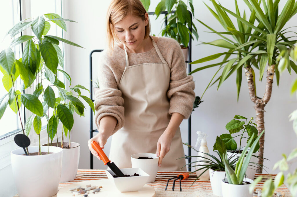 taking care of plants