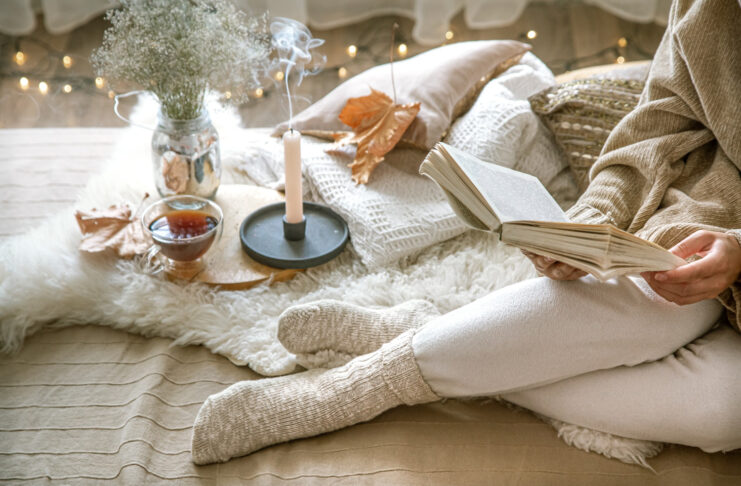 cozy living room idea for you