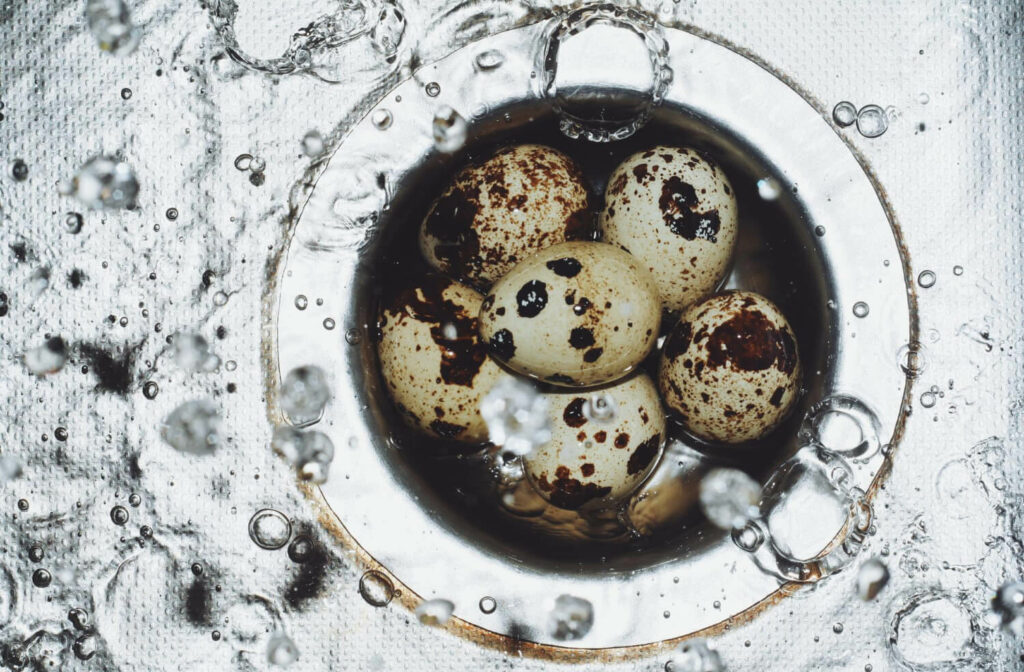 cooking quail eggs