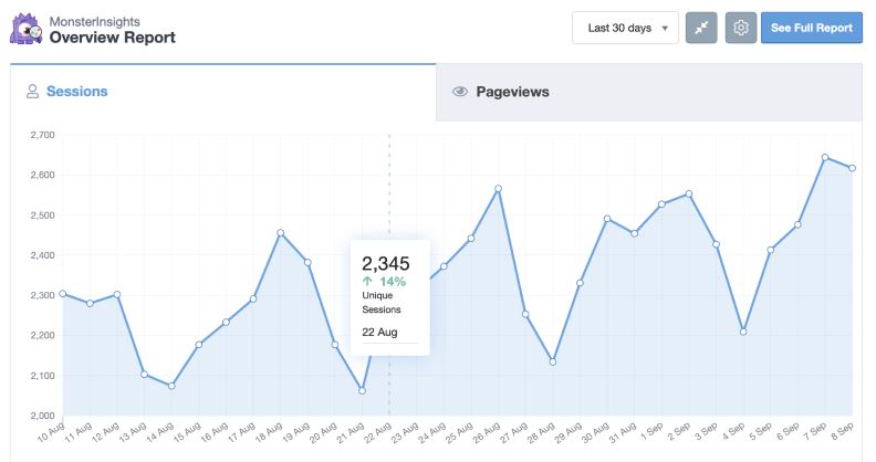 Monster Insights WordPress Plugins