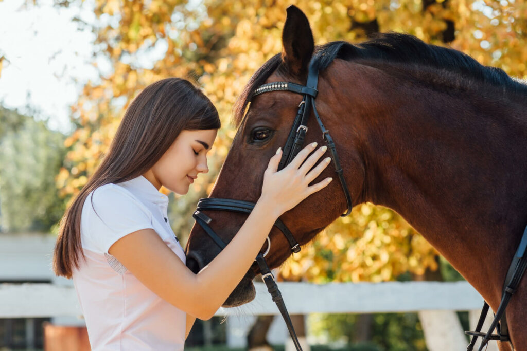 a horse and its owner