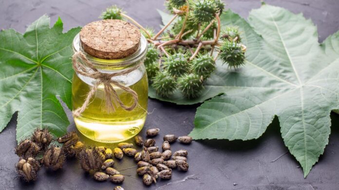 How to Use Castor Oil for Knee Joint Pain?