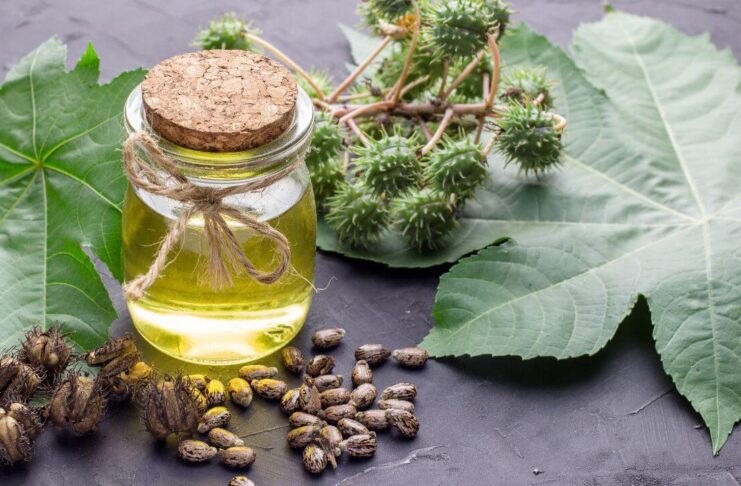 How to Use Castor Oil for Knee Joint Pain?
