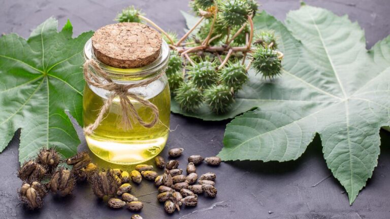 How to Use Castor Oil for Knee Joint Pain?
